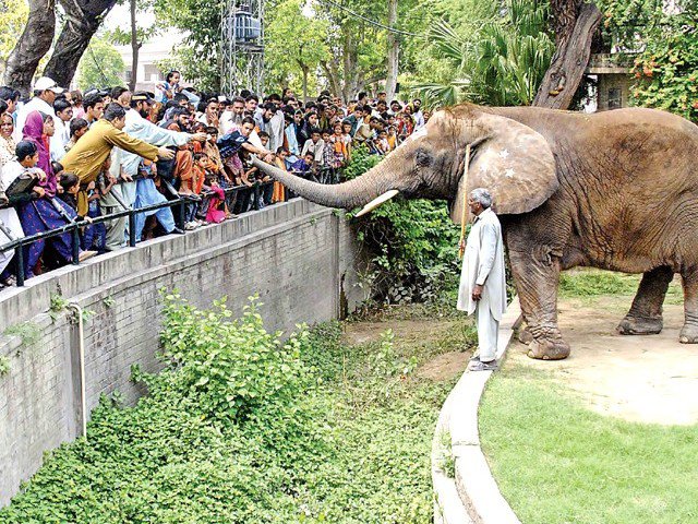 Lahore Zoo Ticket Price & Timing